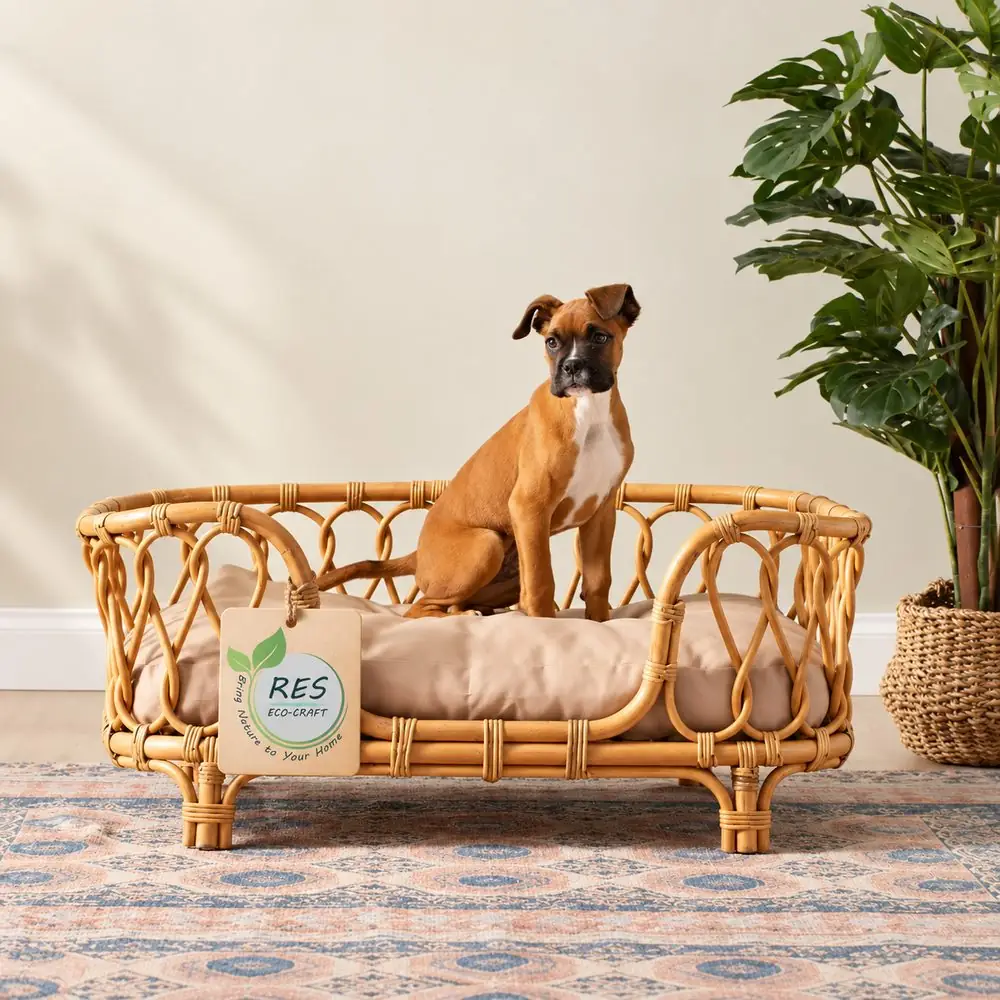 Cane & Rattan home décor by RES Eco-Craft