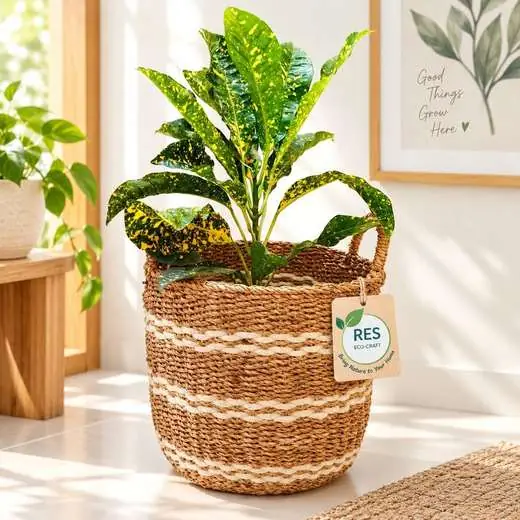 Seagrass Stripe Planter Basket by RES Eco-Craft