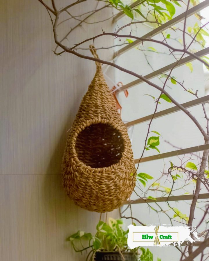Wall Decor Nest