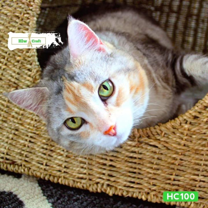 Seagrass Cat Basket - Image 4