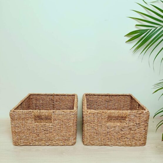 Seagrass 2 part box