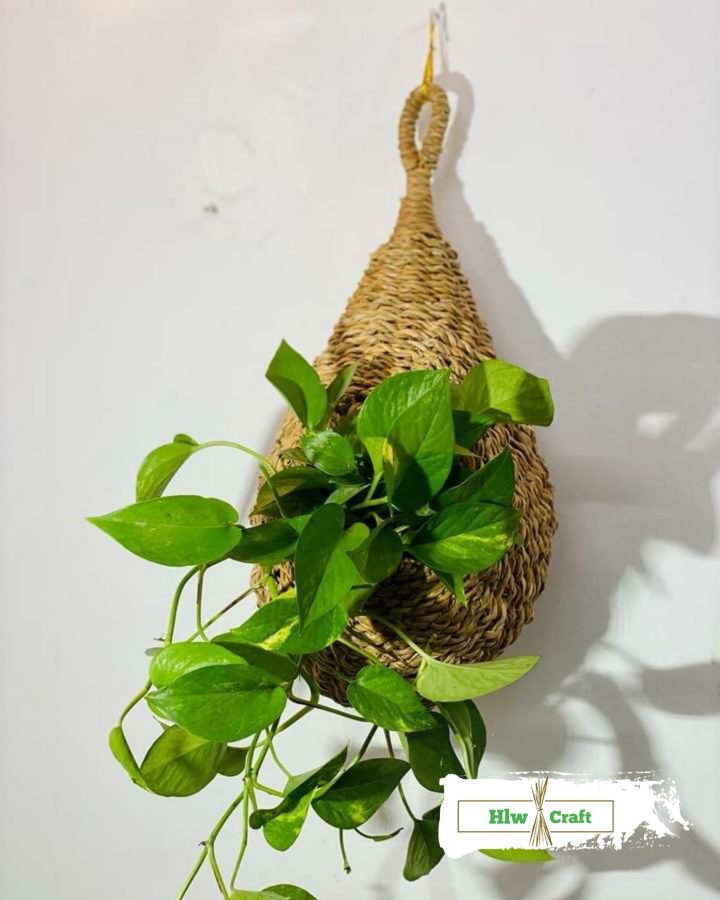 Wall Decor Nest - Image 2