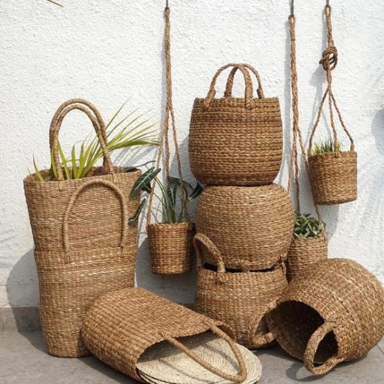 Sea grass